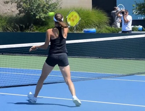 Martina Hingis Forehand, Backhand, Volley and Overhead – 2013 Cincinnati Open