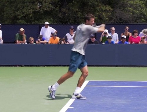 Juan Martin del Potro Forehand and Backhand – 2013 Cincinnati Open