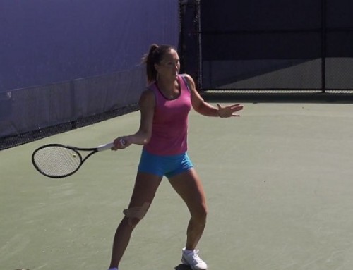 Jelena Jankovic Forehand and Backhand In Super Slow Motion – 2013 Cincinnati Open