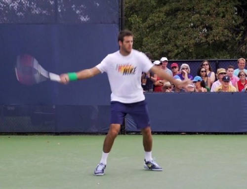 Juan Martin del Potro Forehand and Backhand 2 – 2013 Cincinnati Open