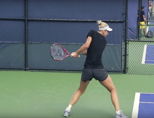 Sabine Lisicki in Super Slow Motion | Forehand and Backhand #1 | Western & Southern Open 2014